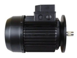 Двигатель к насосу KS-300 (220В) Kripsol RBM0030.30R//RMOT5040.20R