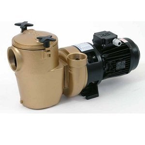 Насос P2000 1.5kw 112201 Pahlen