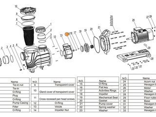 Болт рабочего колеса насоса SLP500-1000T/WLP500-100T  Mayer Schwimmbad LX A31130001