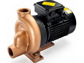 Насос бронзовый 0,37kw 380V Pahlen 11416