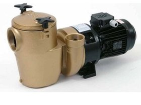 Насос бронзовый 0.37kw 380V Pahlen (120100-01)